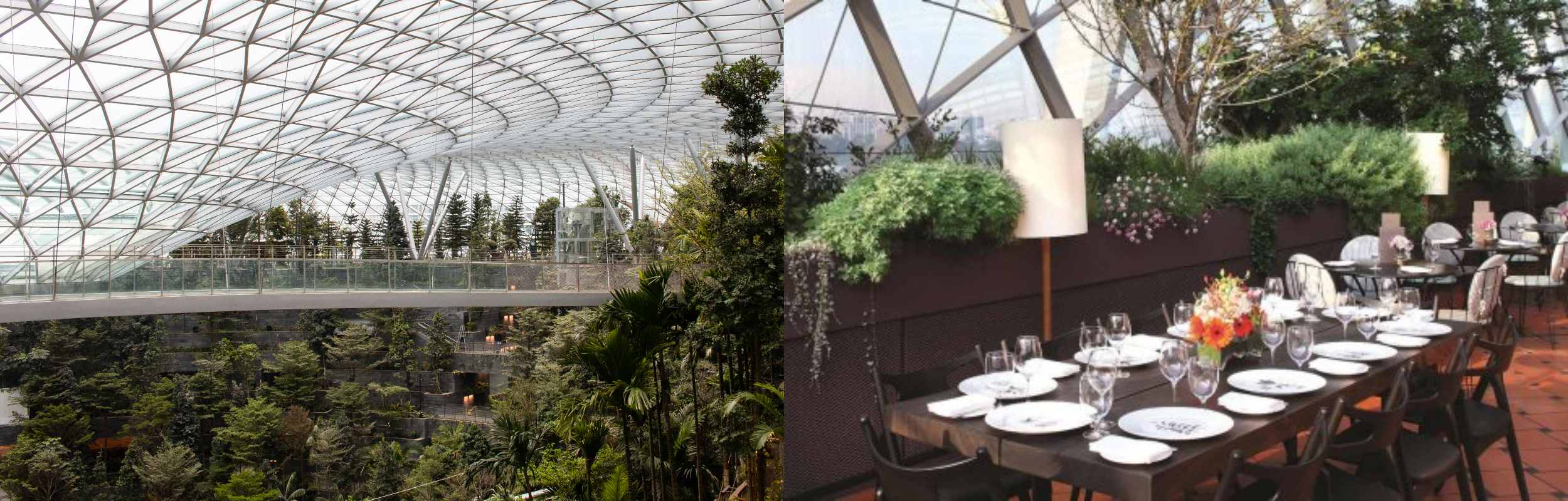 Jewel Changi Airport’s al-fresco dining area and Gardens by the Bay’s Pollen restaurant